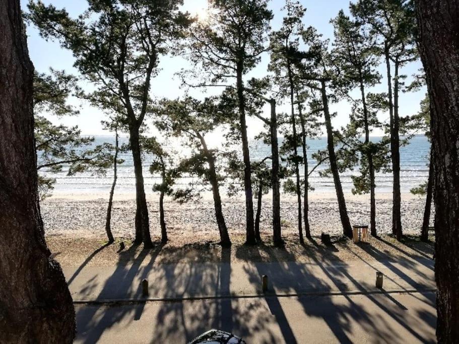 Face A La Mer Fouesnant Dış mekan fotoğraf