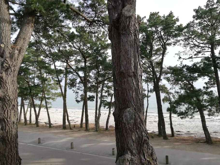 Face A La Mer Fouesnant Dış mekan fotoğraf