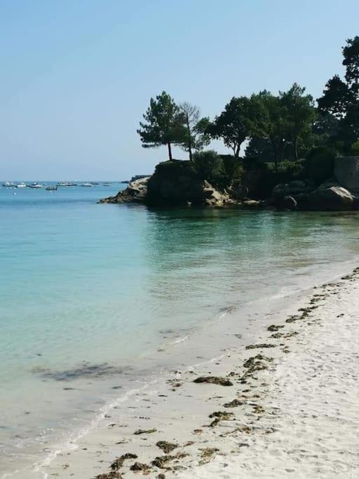 Face A La Mer Fouesnant Dış mekan fotoğraf